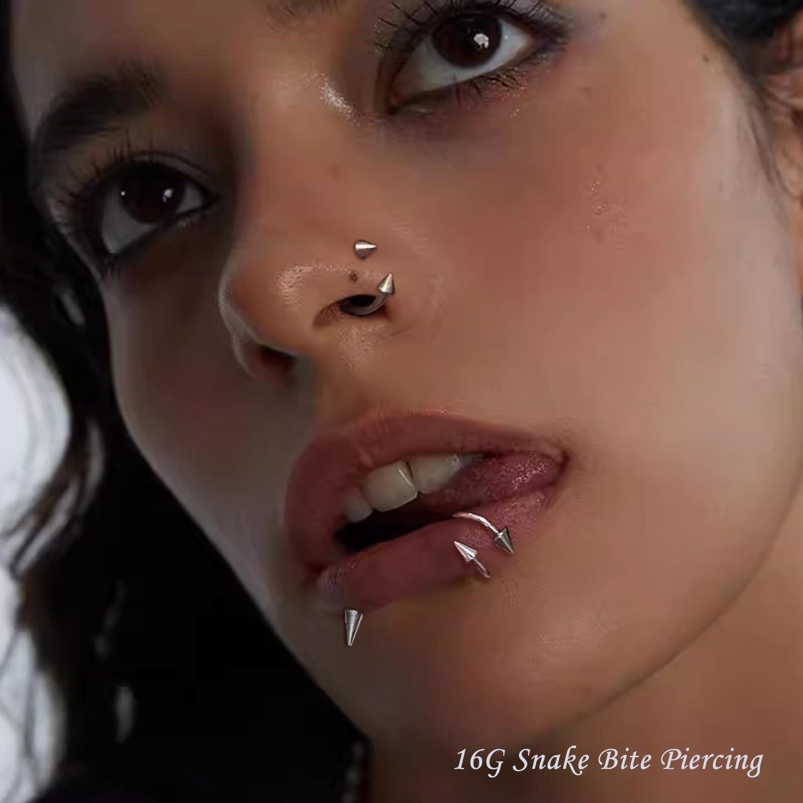 34pcs/Set 16G mordida de serpe - Body Jewelry Vertical Labret avaliação e preço